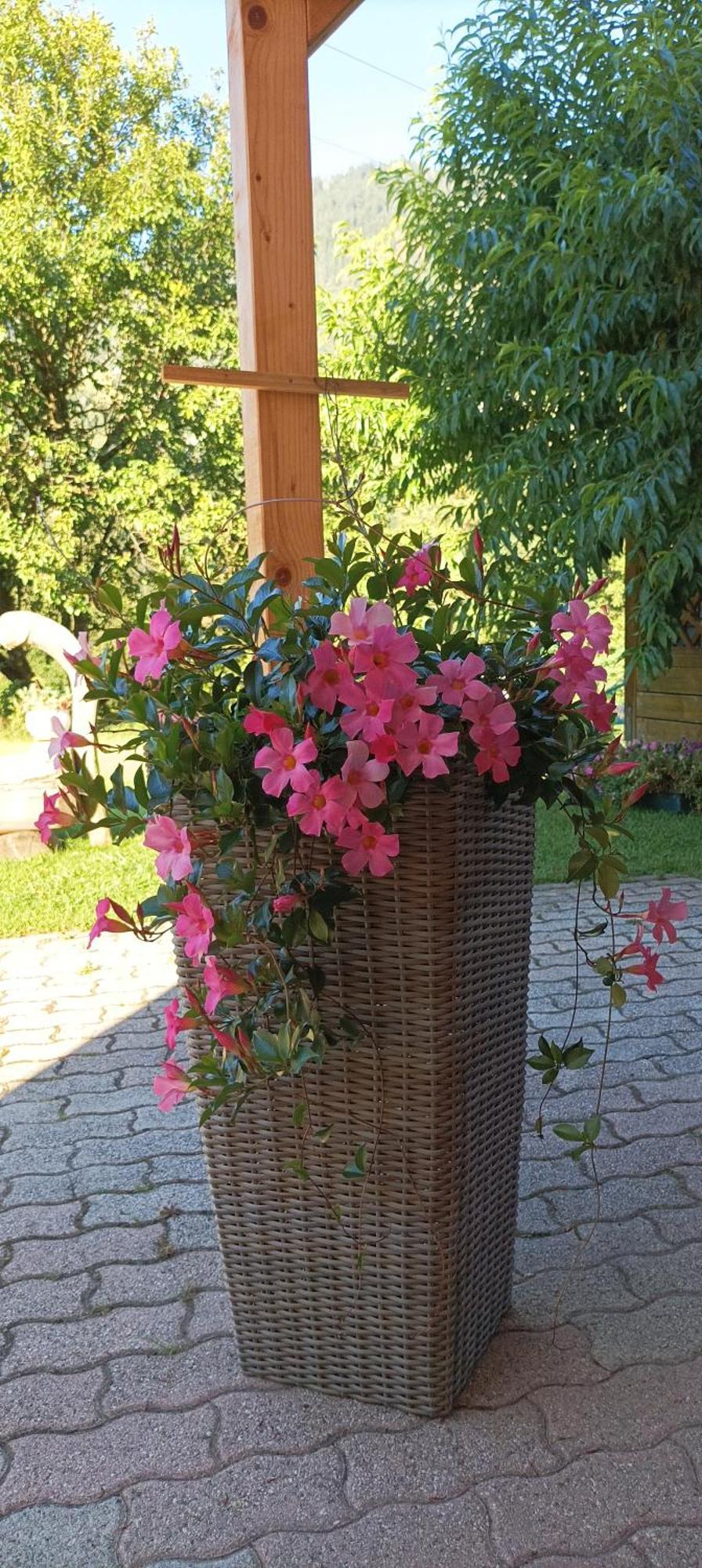 Apartment Relax Natura Canal San Bovo Luaran gambar